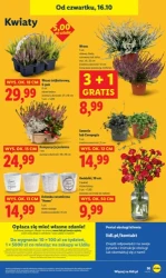 Tydzień pełen dobrych okazji – Lidl