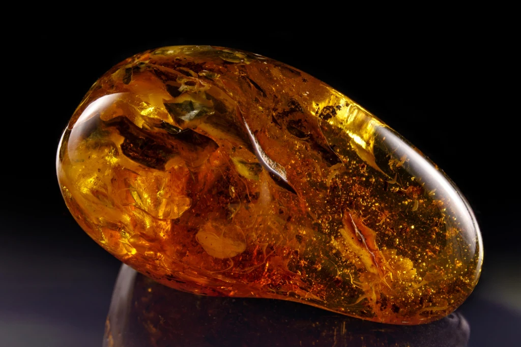 Bursztyn zawiera ślady prehistorycznego życia Antarktydy Bursztyn zawiera ślady prehistorycznego życia Antarktydy