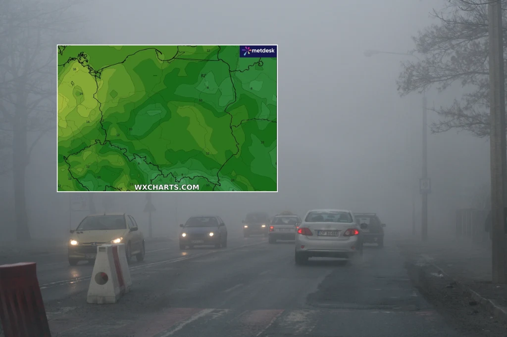 W środę rano w wielu miejscach utrzymywała się gęsta mgła. Lokalnie trzeba uważać do południa. Zdjęcie w tle ilustracyjne W środę rano w wielu miejscach utrzymywała się gęsta mgła. Lokalnie trzeba uważać do południa. Zdjęcie w tle ilustracyjne