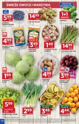 Oferta od czwartku - Stokrotka Optima