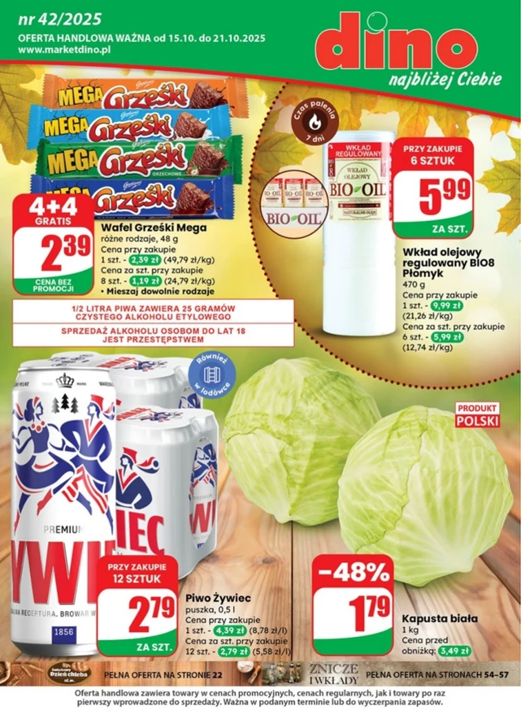 leaflet page preview image