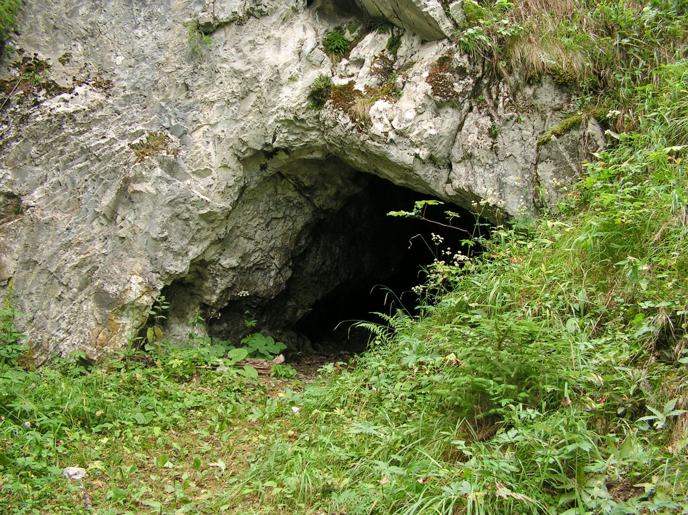 Jaskinia nad Huczawą w Tatrach na Słowacji. Wejście do skalnej jaskini otoczone roślinnością, z dużym otworem w ciemnej skale oraz zielonymi liśćmi i trawą wokół wejścia.