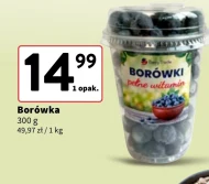 Чорниця