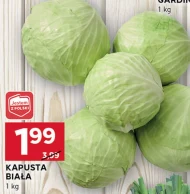 Kapusta biała