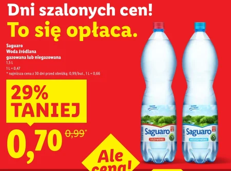 Woda źródlana Saguaro