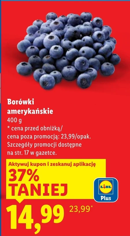 Чорниця