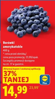 Borówki amerykańskie