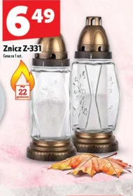 Znicz