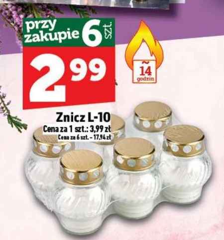 Znicz