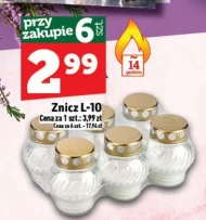 Znicz