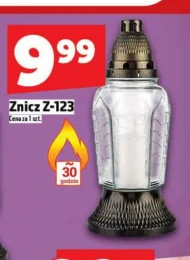 Znicz