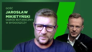 Egzotyczne owoce wyrosły na południu Polski. To spore zaskoczenie