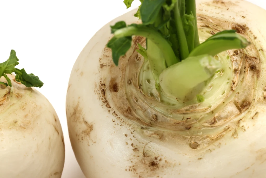 Białe rzodkiewki z widocznymi resztkami ziemi i zielonymi liśćmi, ujęcie z bliska podkreślające fakturę skórki i świeżość warzywa.