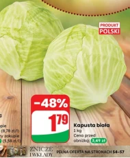 Kapusta biała