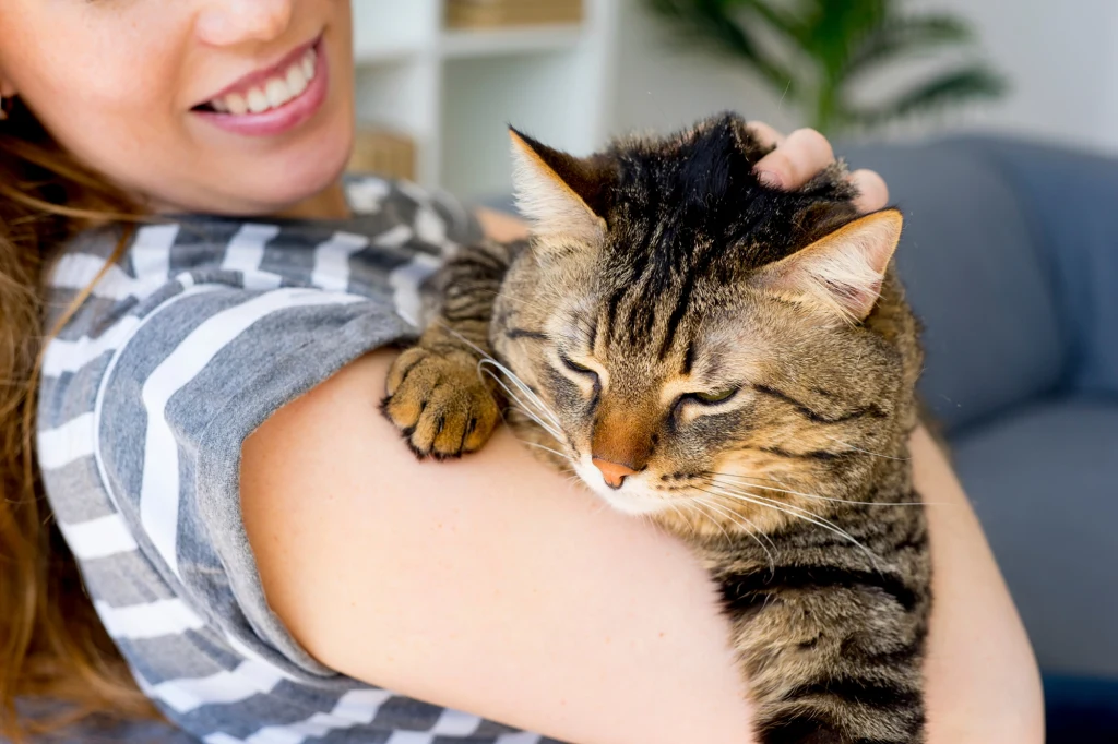 Koty reagują na przytulanie przez ludzi Koty reagują na przytulanie przez ludzi