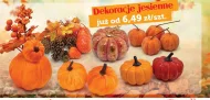 Декорація