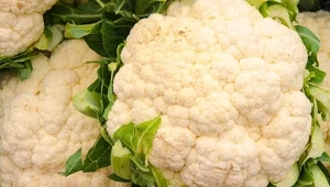 To jedno z najzdrowszych warzyw. W Polsce jest tanie i łatwo dostępne, ale mało kto po nie sięga