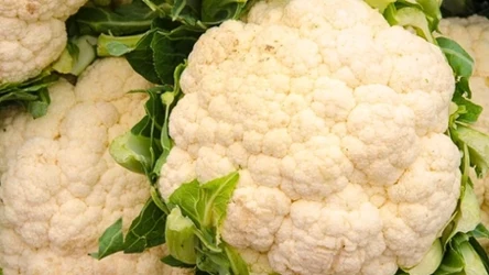 To jedno z najzdrowszych warzyw. W Polsce jest tanie i łatwo dostępne, ale mało kto po nie sięga