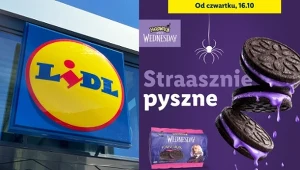 Strasznie pyszne! Halloweenowe słodycze „Wednesday” tylko w Lidlu