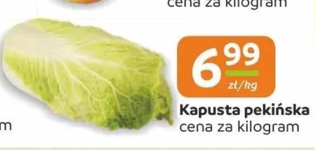 Kapusta pekińska