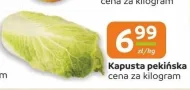 Kapusta pekińska