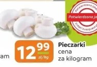 Гриби