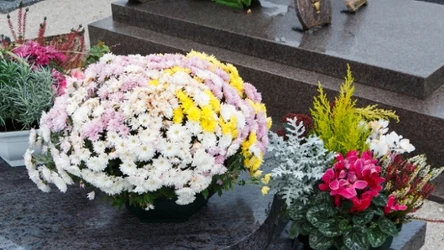 Jakich kwiatów unikać w wiązankach? Niektóre gatunki tracą formę w mgnieniu oka