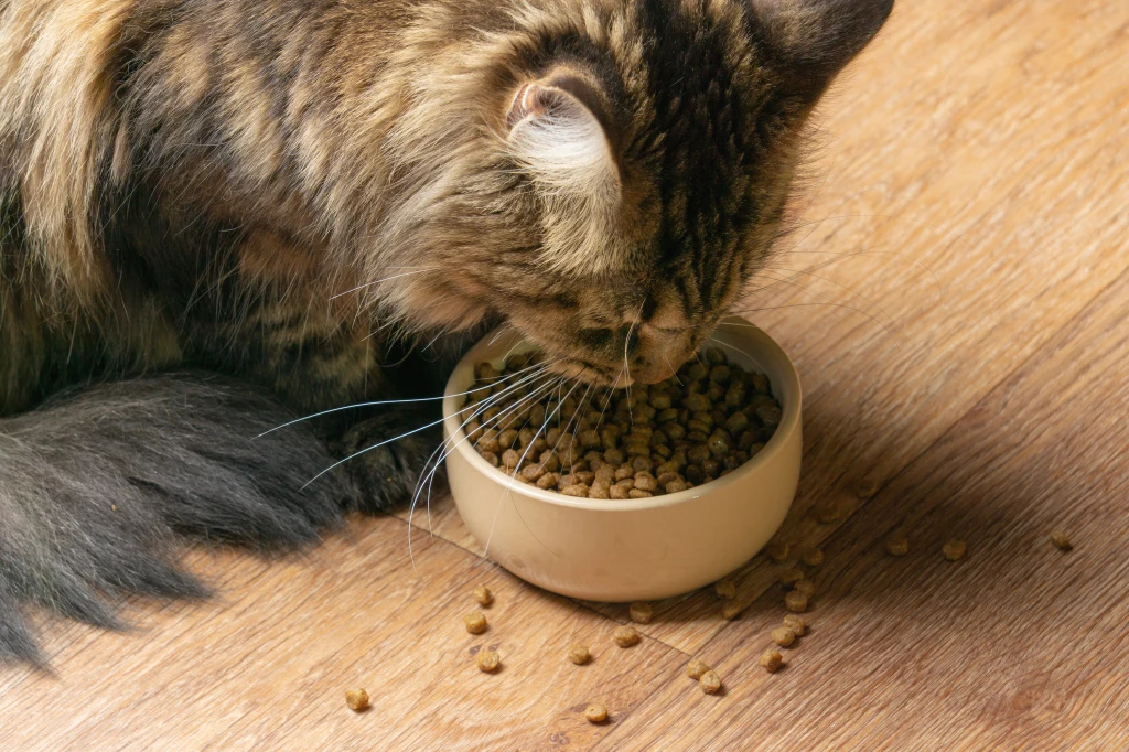 Nadmierne jedzenie może być oznaką stresu Nadmierne jedzenie może być oznaką stresu