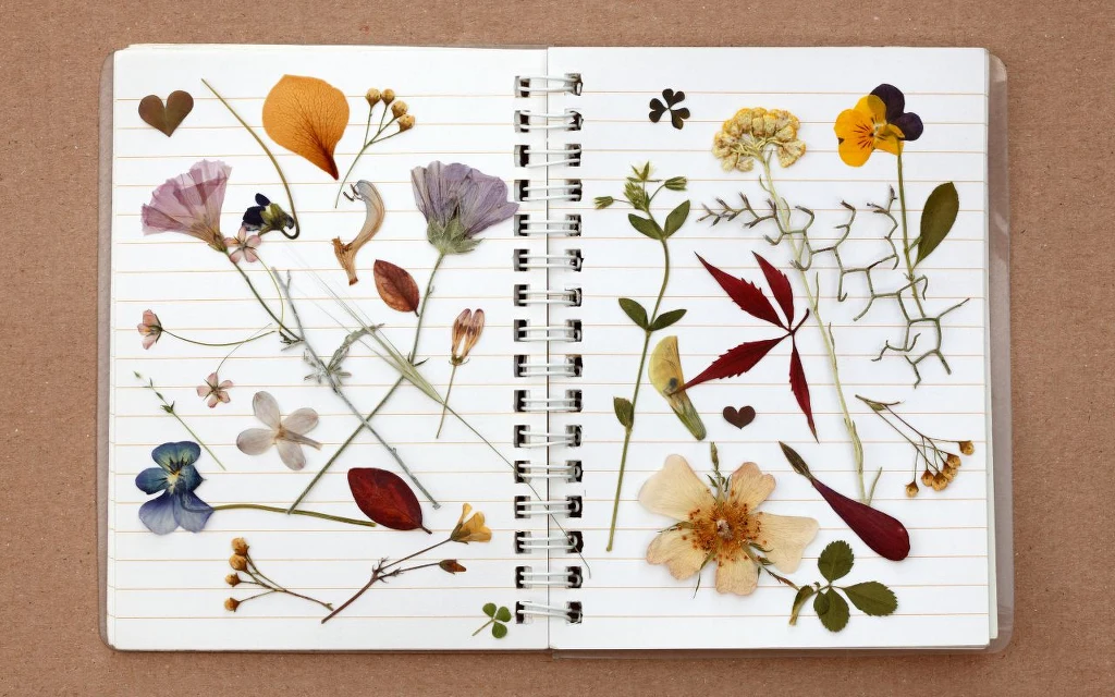 Zielnik na jutro? Wsadź zioła do air fryera Otwarty notes w linie, na którego dwóch stronach starannie ułożone są zasuszone kwiaty, liście i płatki w różnych kolorach oraz kształtach, tworząc estetyczną kompozycję botaniczną.