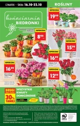 Smak jesieni w dobrej cenie – Biedronka