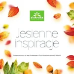 Katalog jesienne inspiracje - Stokrotka