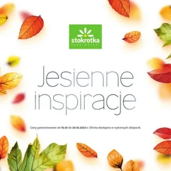 Katalog jesienne inspiracje - Stokrotka