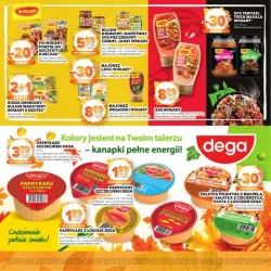 Katalog jesienne inspiracje - Stokrotka