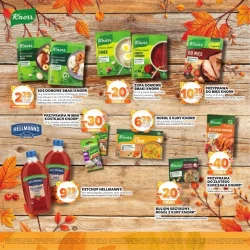Katalog jesienne inspiracje - Stokrotka