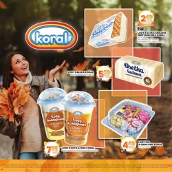 Katalog jesienne inspiracje - Stokrotka