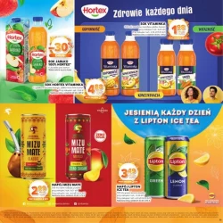 Katalog jesienne inspiracje - Stokrotka