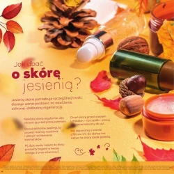 Katalog jesienne inspiracje - Stokrotka