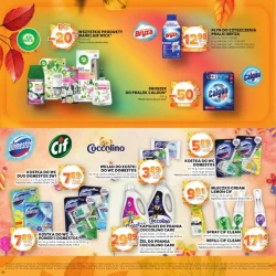 Katalog jesienne inspiracje - Stokrotka