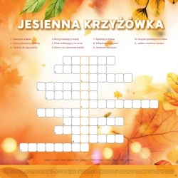 Katalog jesienne inspiracje - Stokrotka