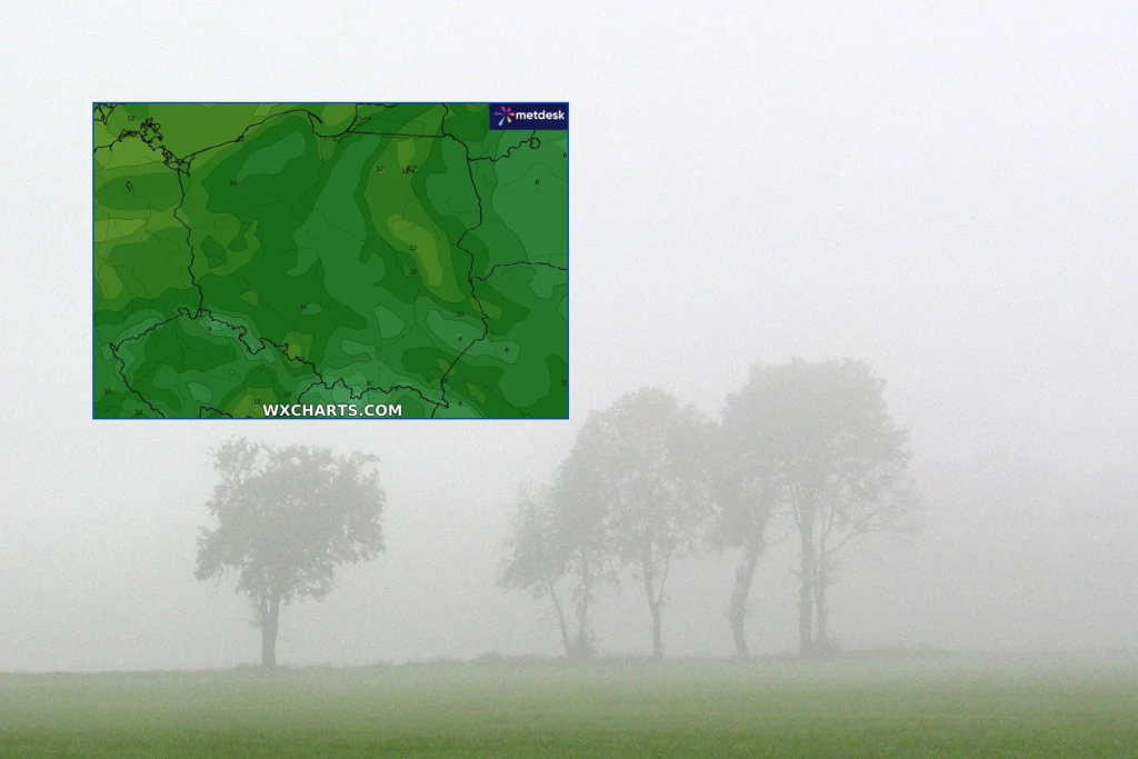 W praktycznie całym kraju będzie pochmurnie, a w wielu miejscach deszczowo. Rano trzeba uważać na lokalne mgły