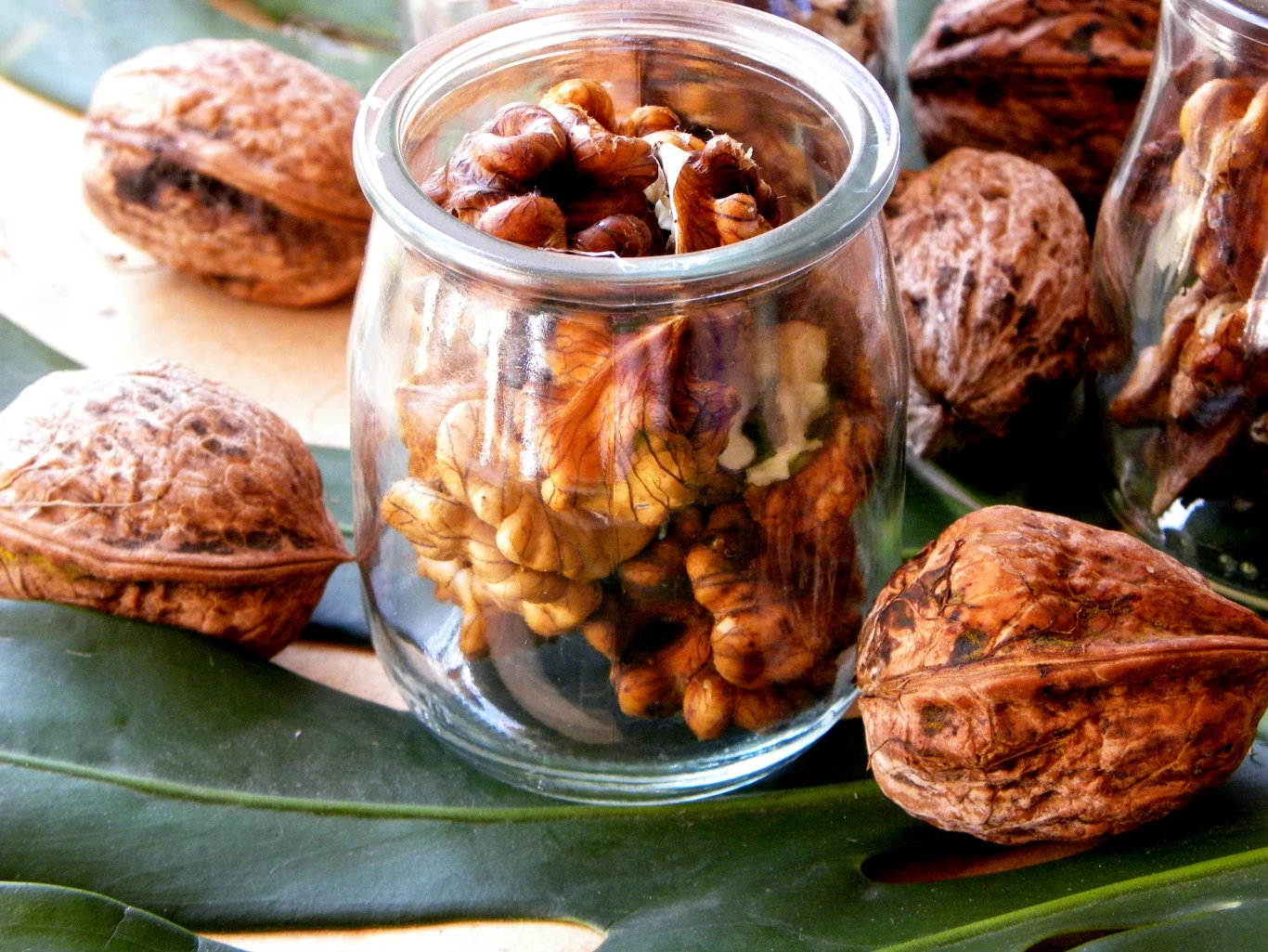 Jak przechowywać orzechy włoskie? Trik, dzięki któremu nie stracą świeżości i właściwości przez wiele miesięcy