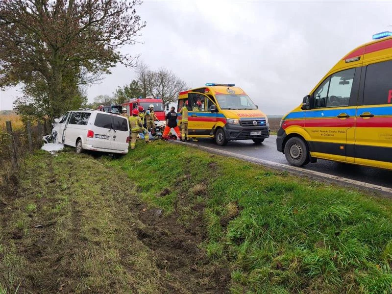 Bus przewożący dzieci uderzył w drzewo Bus przewożący dzieci uderzył w drzewo