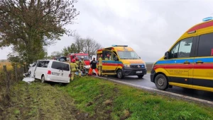 Bus przewożący dzieci uderzył w drzewo