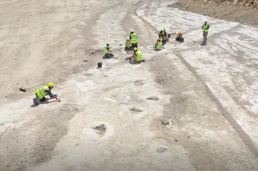 Niezwykłe znalezisko brytyjskich paleontologów odsłania tajemnice życia gigantycznych zauropodów sprzed 166 mln lat Niezwykłe znalezisko brytyjskich paleontologów odsłania tajemnice życia gigantycznych zauropodów sprzed 166 mln lat