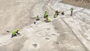Niezwykłe znalezisko brytyjskich paleontologów. Odsłania tajemnice życia gigantów sprzed 166 mln lat