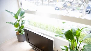 Nieświadomie marnujesz prąd? Oto jak wyłączać telewizor prawidłowo