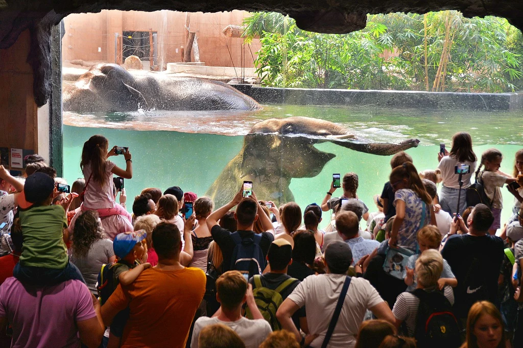 W łódzkim zoo powstanie nowy interaktywny pawilon W łódzkim zoo powstanie nowy interaktywny pawilon