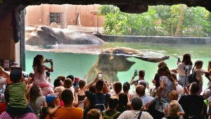 Wizyta w zoo jak na planie filmu przygodowego. Wielka atrakcja w Łodzi