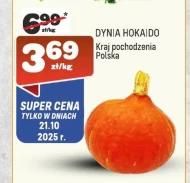 Dynia C &C