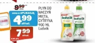 Засіб для миття посуду Ludwik
